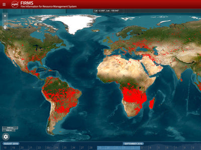 FIRMS Screenshot Brände in der Welt
